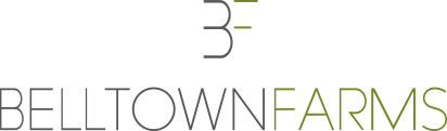 image-18-1-1.png