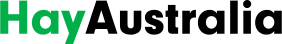 logo.png
