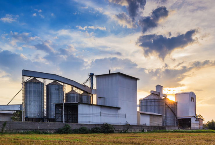 Maximising Efficiency with Advanced Grain Storage Software