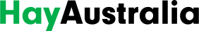 logo.png