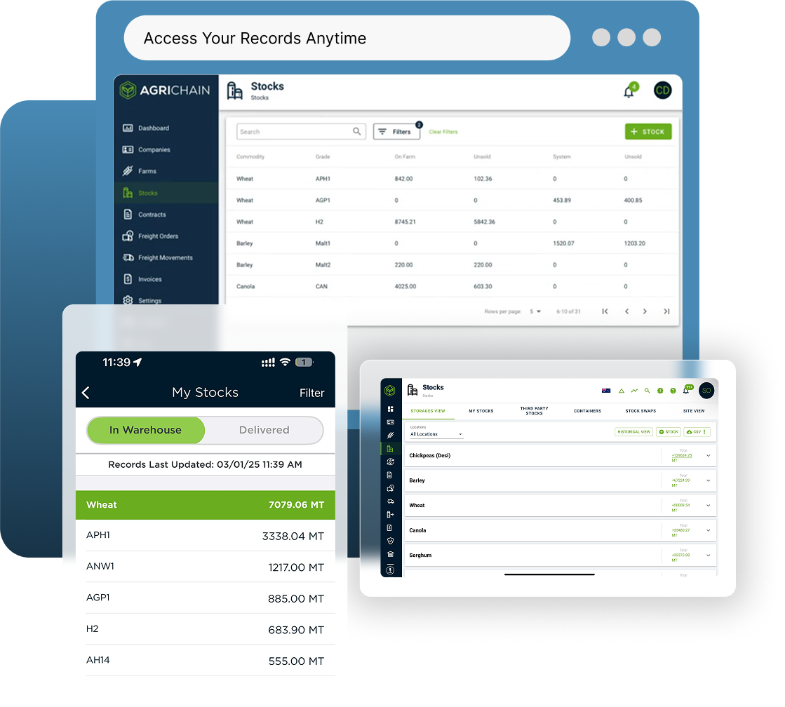 Access Your Records Anytime
